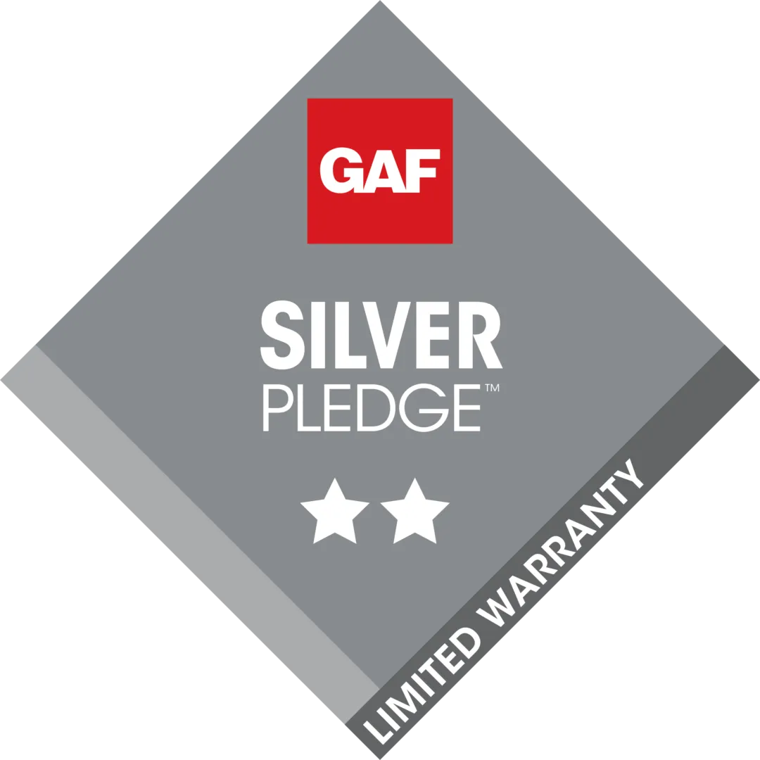 Silver-Pledge-1920w